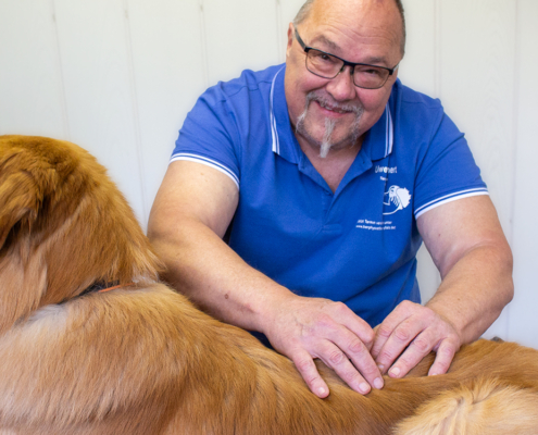 Uwe Sehnert - Tierphysiotherapie & Training